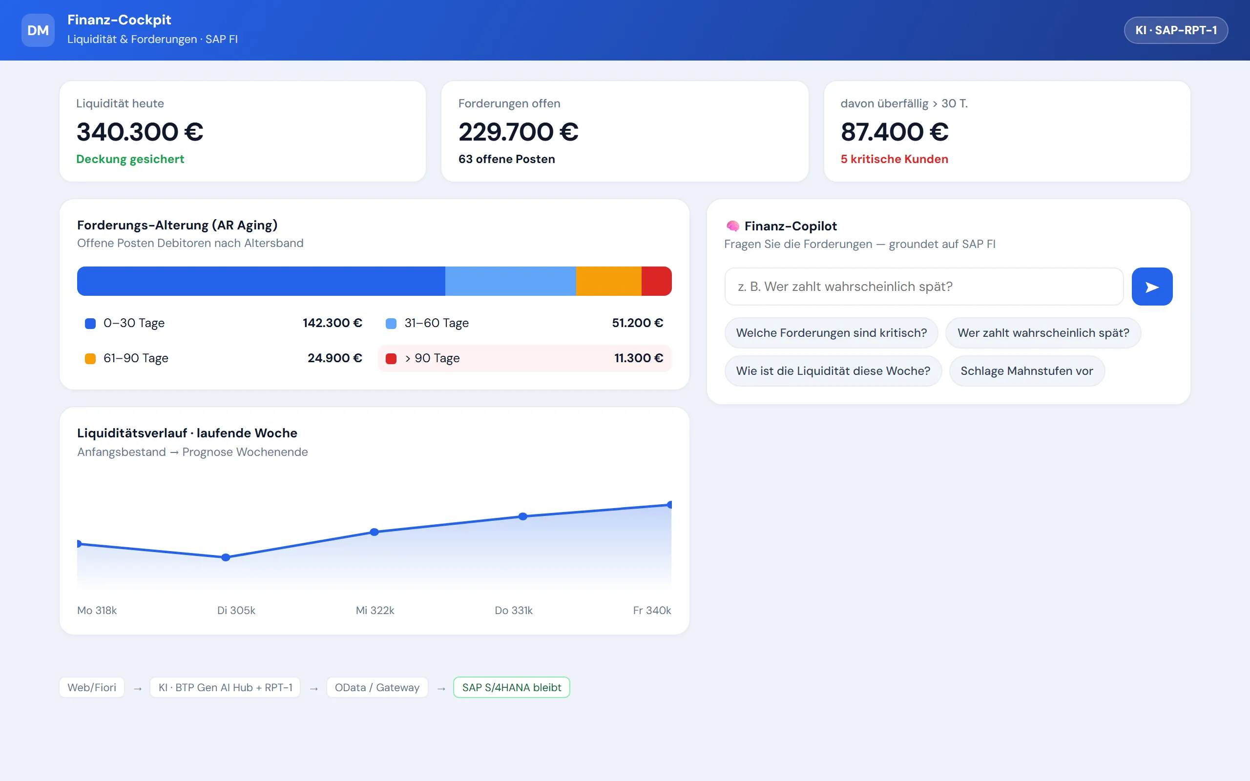 Vorschau Finanz- & Forderungs-Assistent – Web-Portal